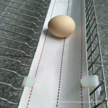 Egg Collection System Chicken Cage Egg Belt